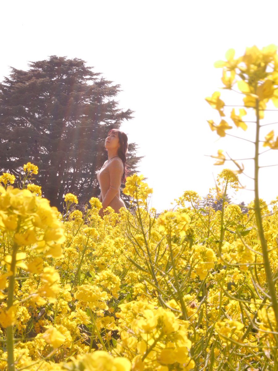 shio_early's tweet photo. 1年ぶり？くらいにお写真お願いしたら、
大変素敵に撮ってくださいました☺️🌼
とてもお気に入りのニットワンピです。
みてみて。
たーくさん色んなの撮ってもらったから、またぽつぽつ載せます✨

 #ポトレ  #ポートレート

撮影@hosyanko https://t.co/A7voH3cpLz