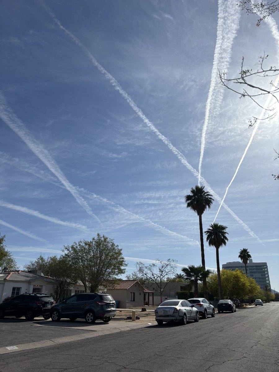 lydia_sweetland's tweet image. 👋 from Phoenix AZ