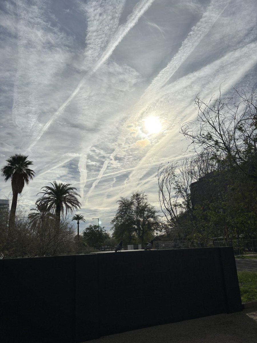 lydia_sweetland's tweet image. 👋 from Phoenix AZ