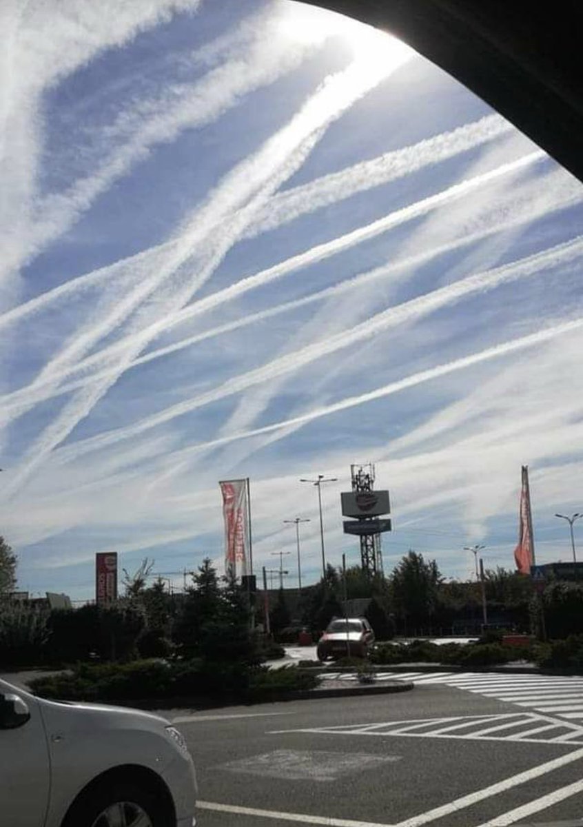 lydia_sweetland's tweet image. 👋 from Phoenix AZ