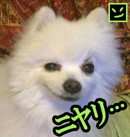 Sneed Plays tweet media