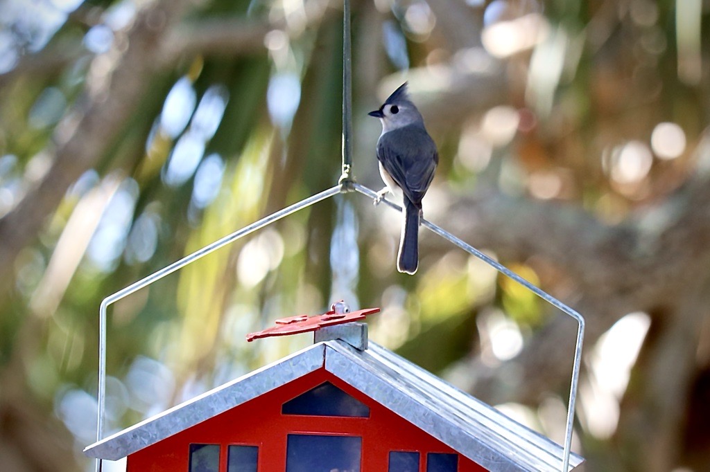 Manatee County Government tweet media