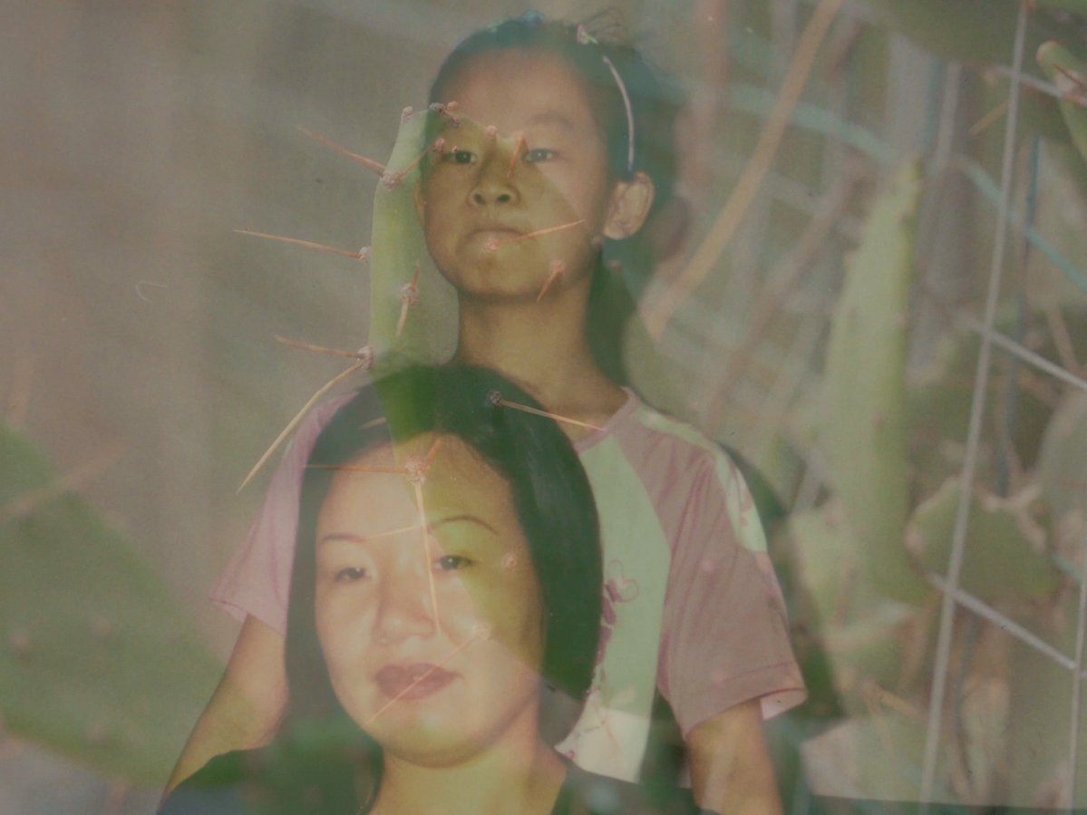 Documentary Club tweet media