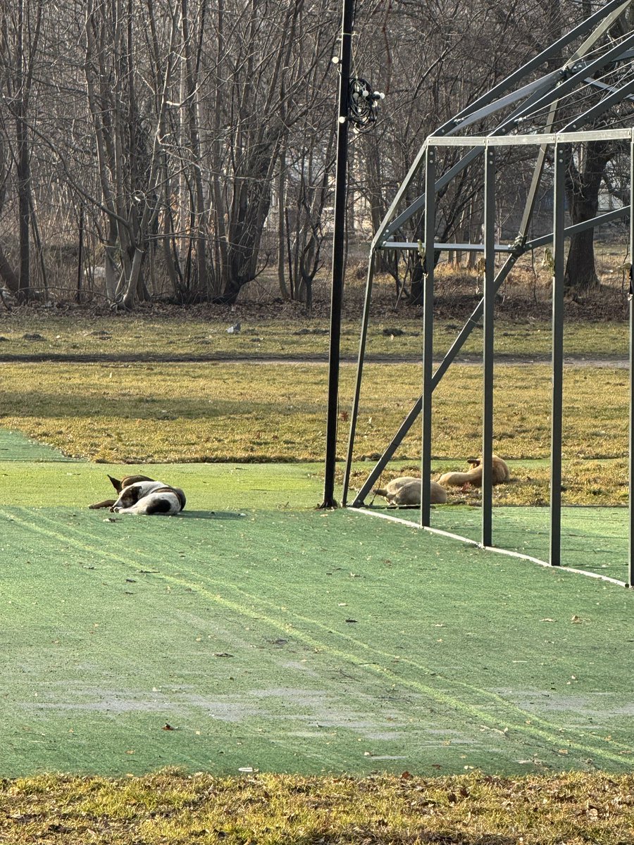 Викупай трохи, нє tweet media