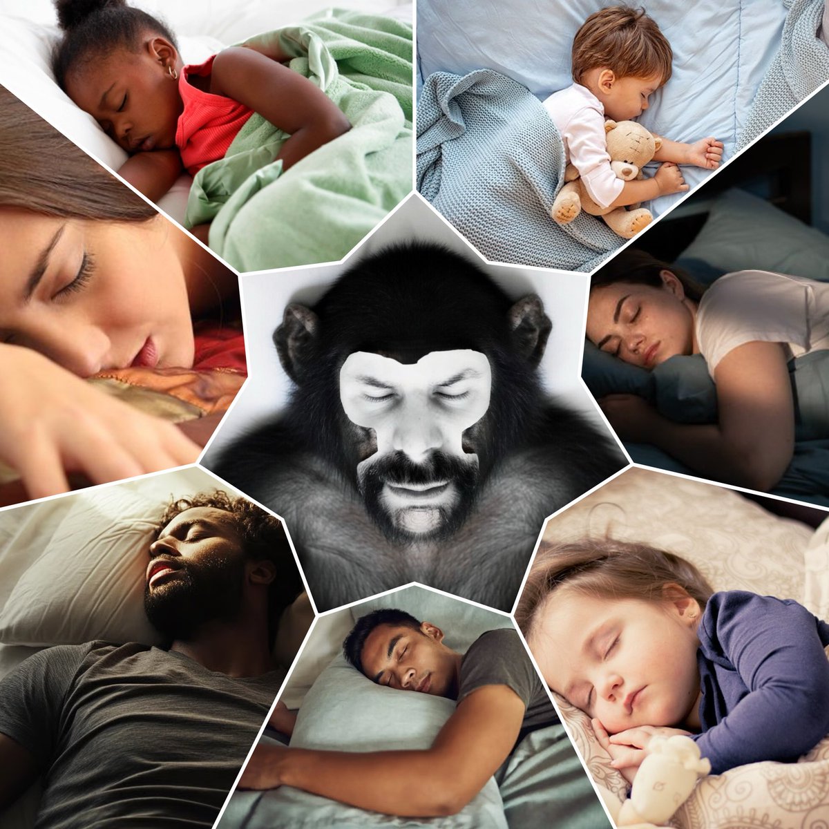 FEAR NO MORE tweet media