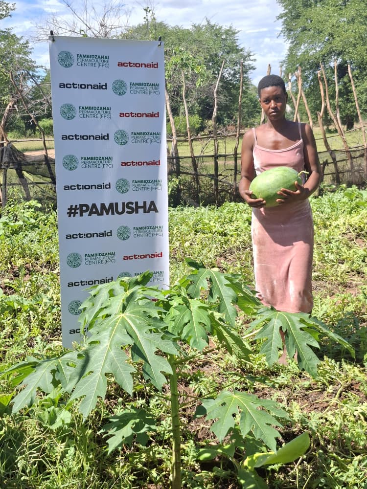 Fambidzanai Permaculture Centre ZWE tweet media