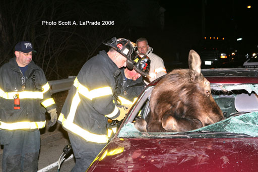 Scott LaPrade tweet media