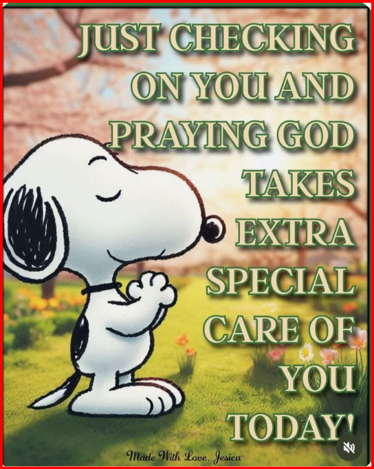 Organized Ghost Peace. tweet media