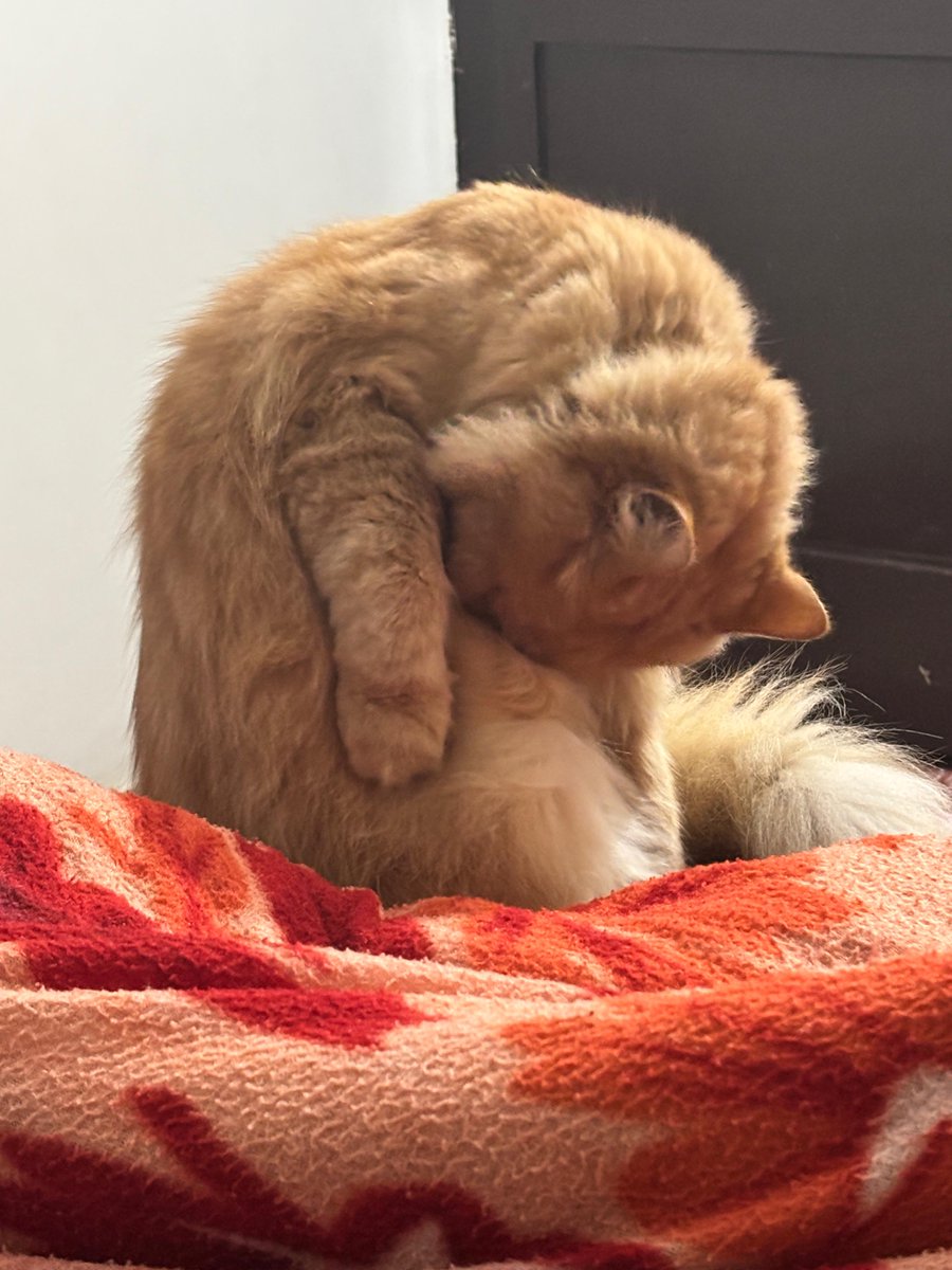 Mrityunjay tweet media