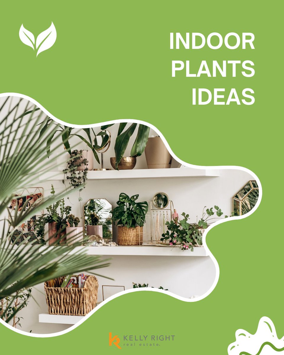 PritchettExp's tweet photo. Indoor plants don’t just decorate a space—they bring it to life.

Layering greenery at different heights, mixing leaf shapes, and placing plants near natural light can instantly make a room feel warmer, fresher, and more inviting. https://t.co/Uy7gKkFhbQ