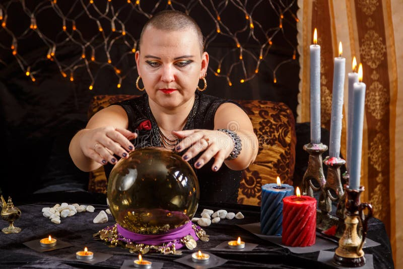 Desert Cat tweet media