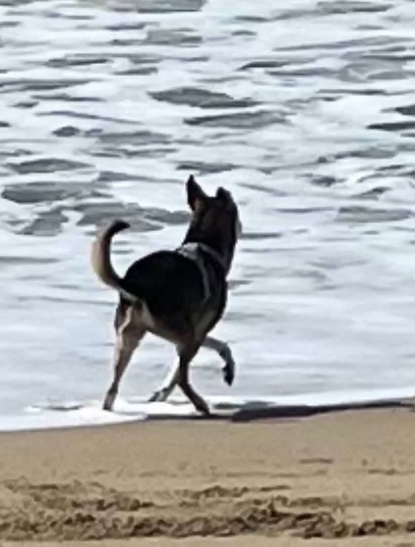 Onelastaco tweet media