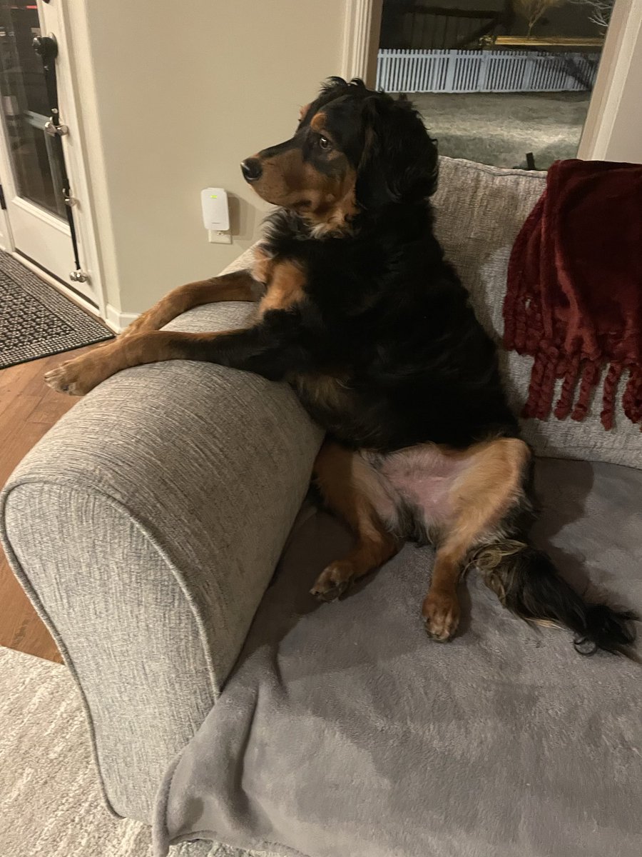 Bob Adullah tweet media