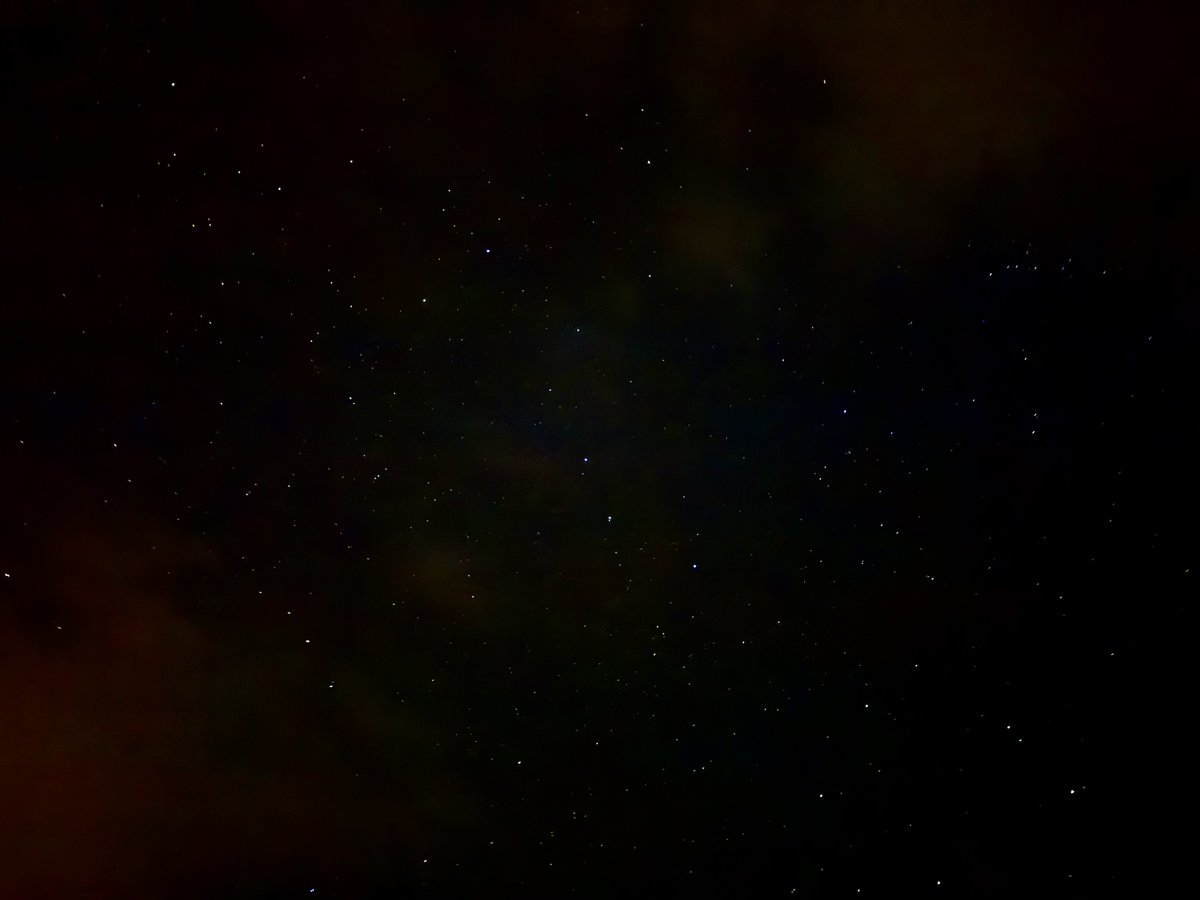 ハムスター5 tweet media