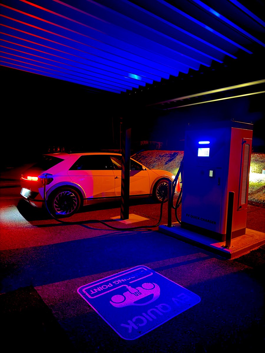 ハムスター5 tweet media