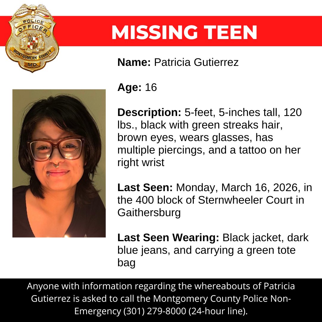 MocoFeed tweet media