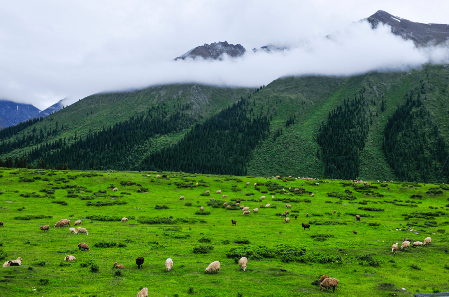 Edgardo Manguel tweet media