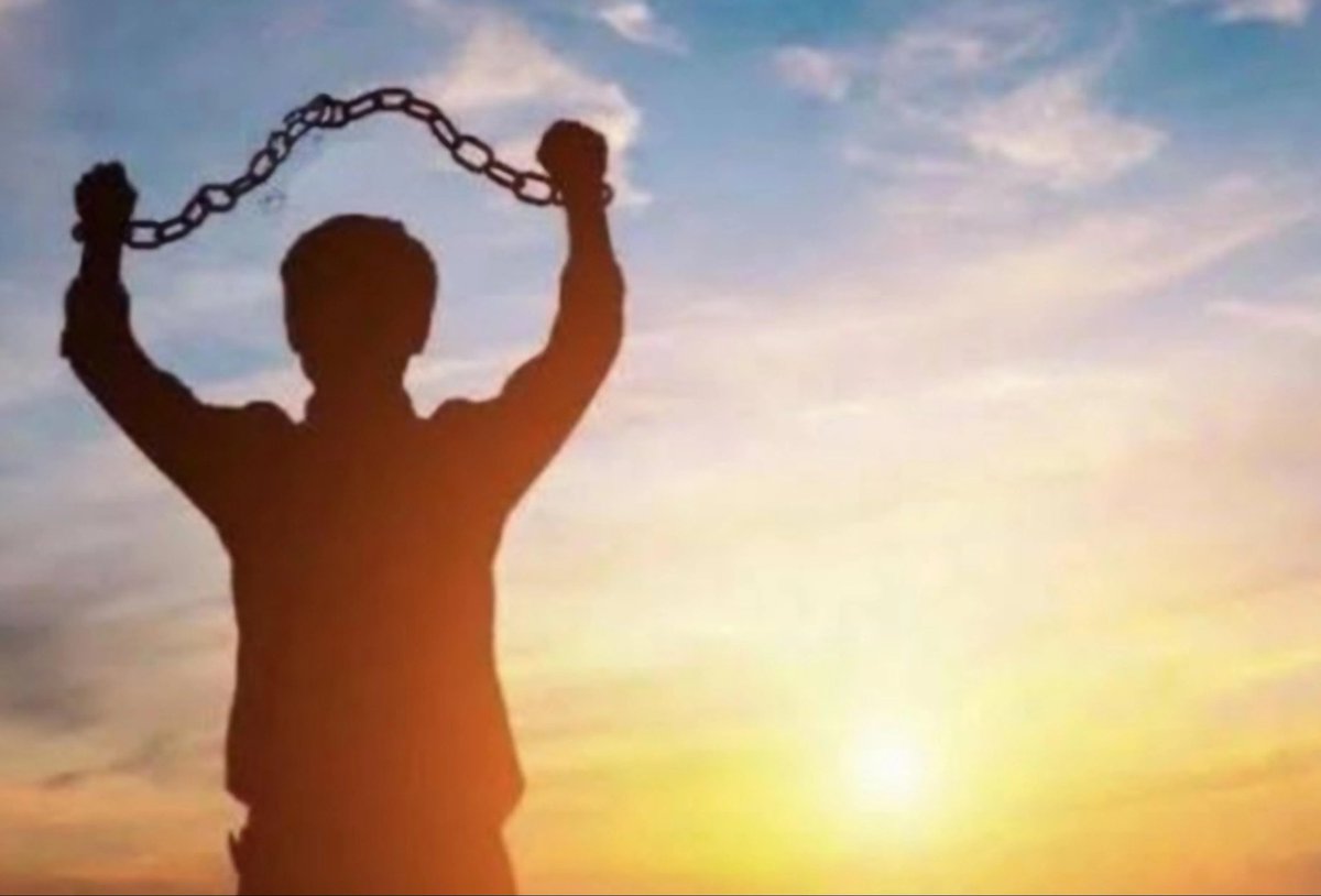 Mykyta Kazymyrov tweet media