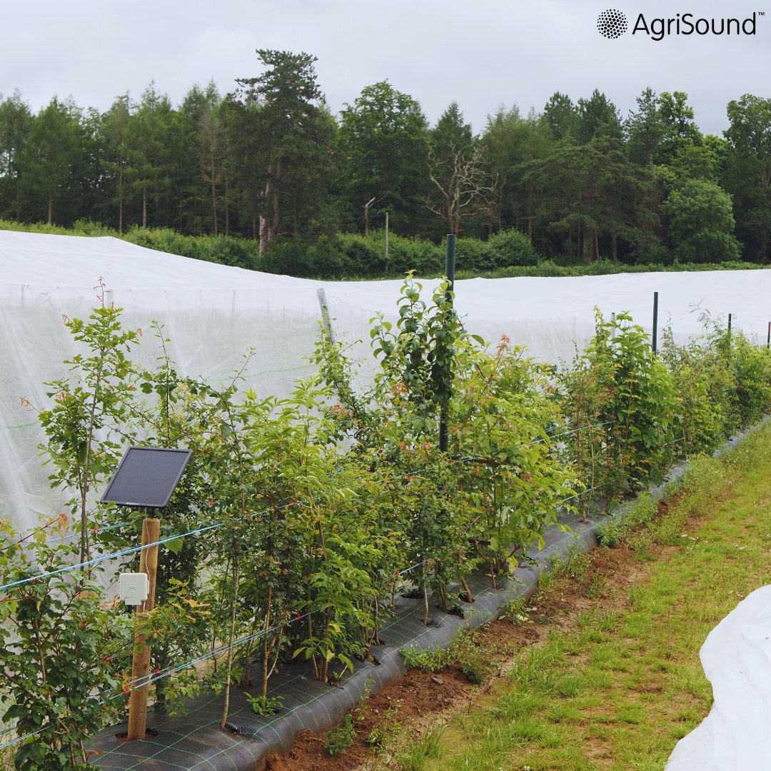 AgriSound tweet media