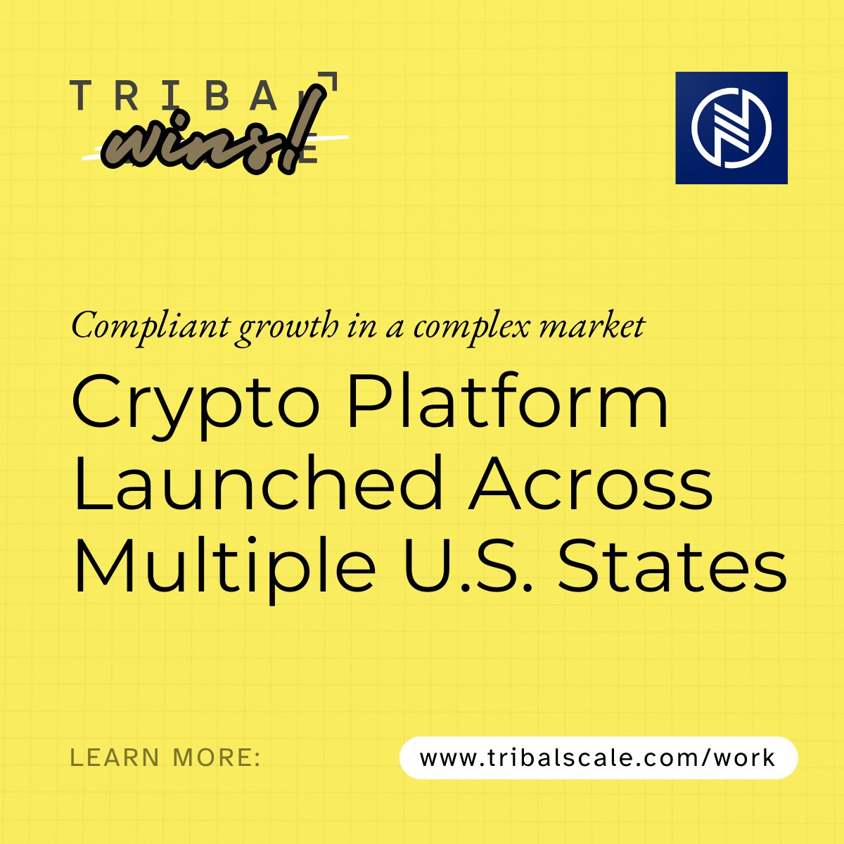 TribalScale tweet media