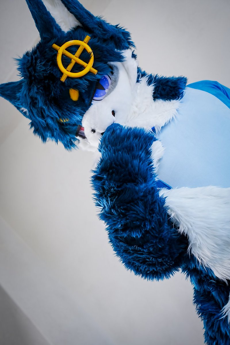 Compass Cat/argo tweet media