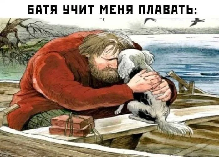 Элишкa tweet media