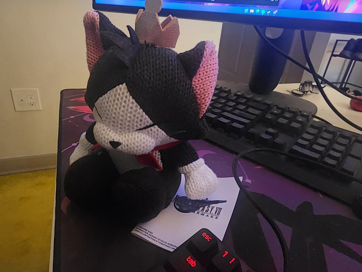 Kona Katz tweet media