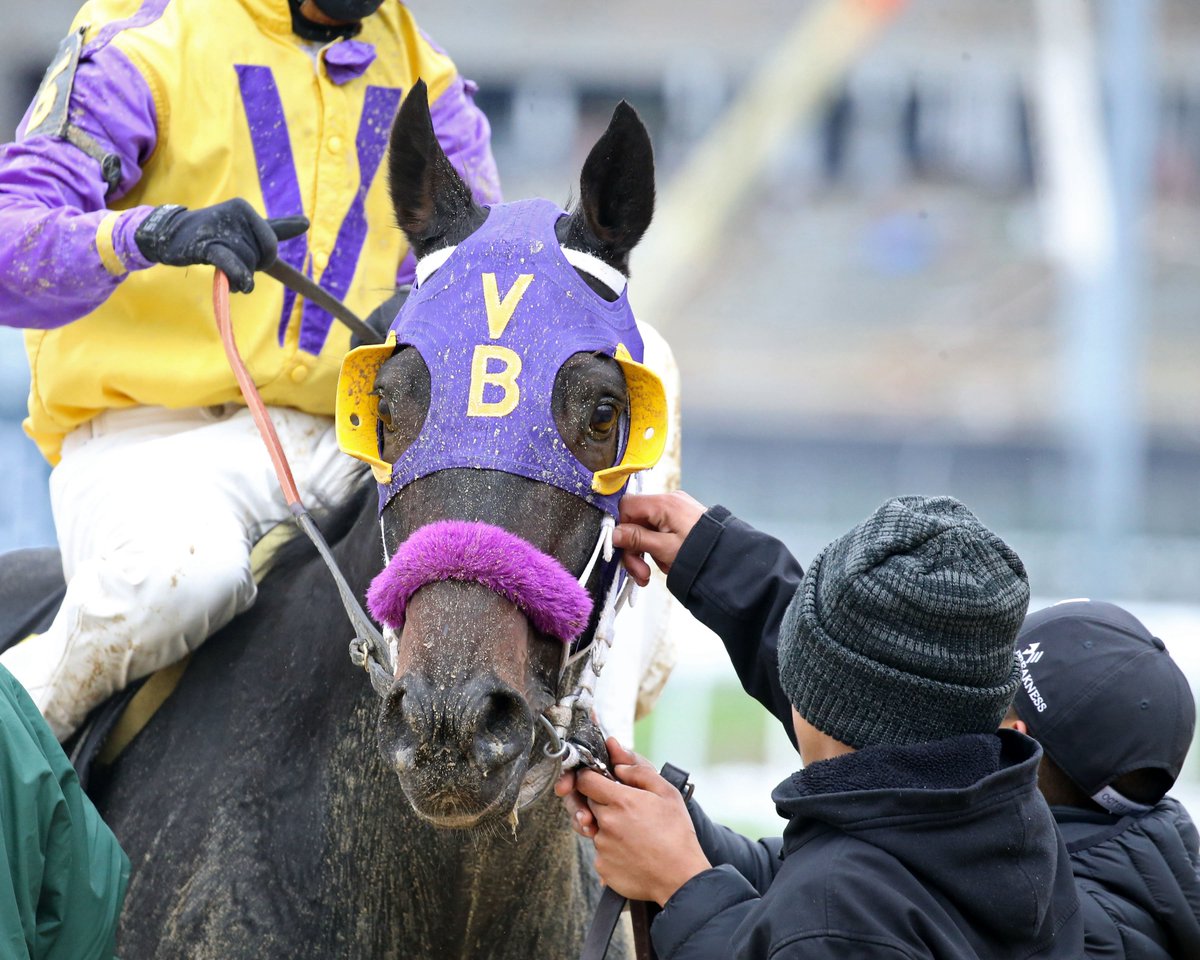 Coady Media tweet media