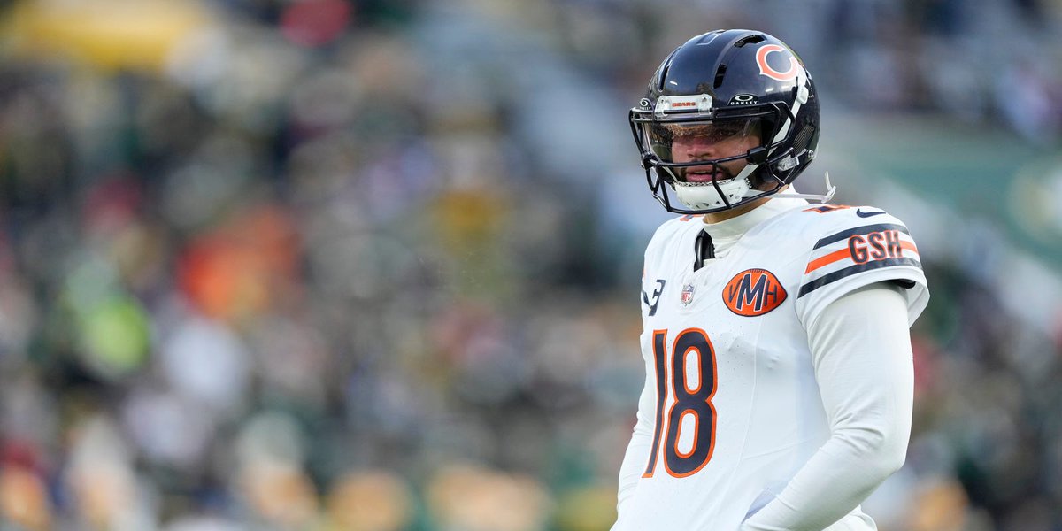 Bears Wire tweet media