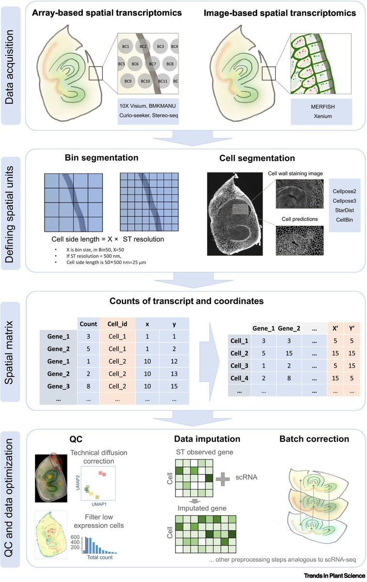 Plant Science tweet media