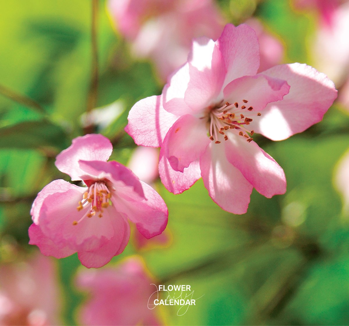 暦生活 tweet media