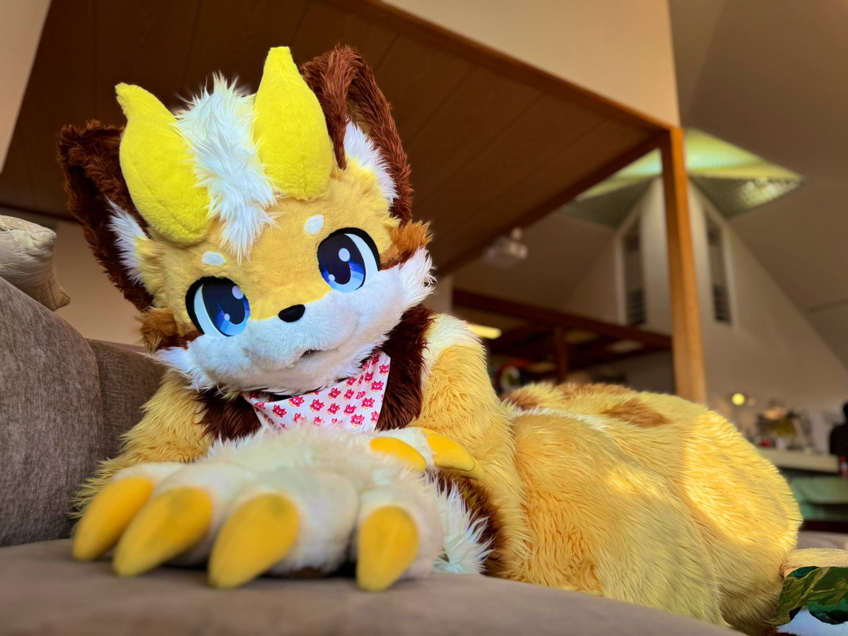 哈姆 はむ Hamm tweet media