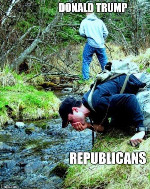 montrose620 tweet media