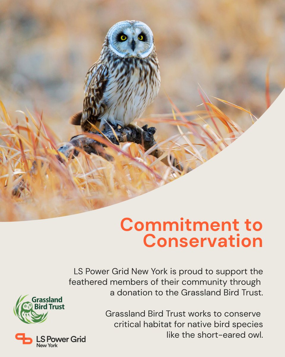 @LSPowerGrid tweet media