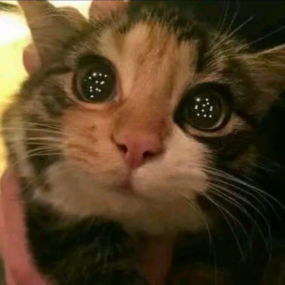 Devchart 👨🏻‍💻 tweet media