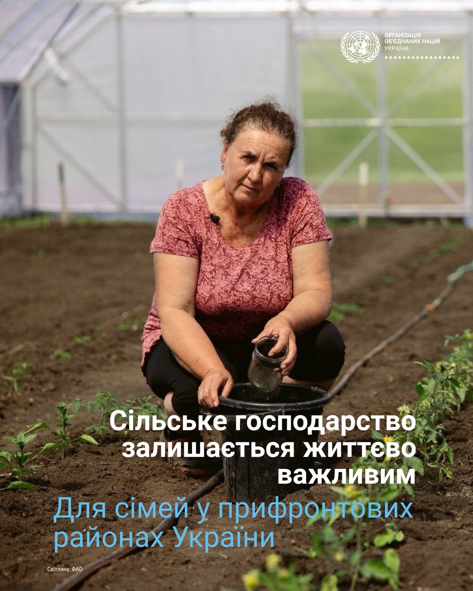 UN Ukraine tweet media