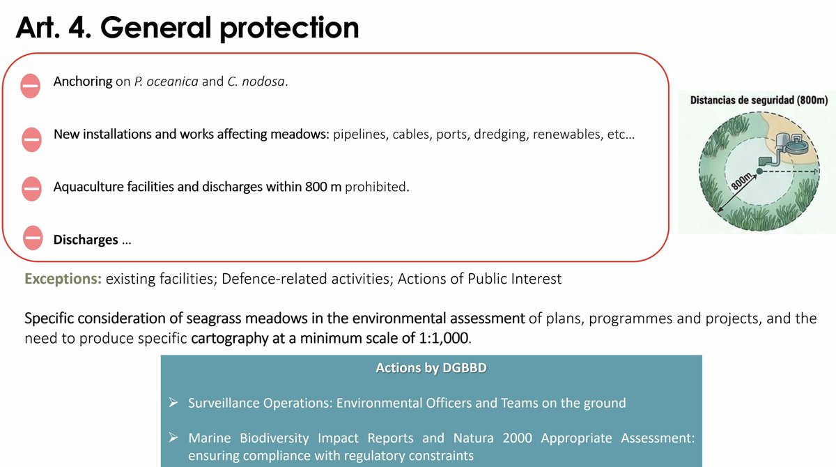 PosidoniaProject tweet media
