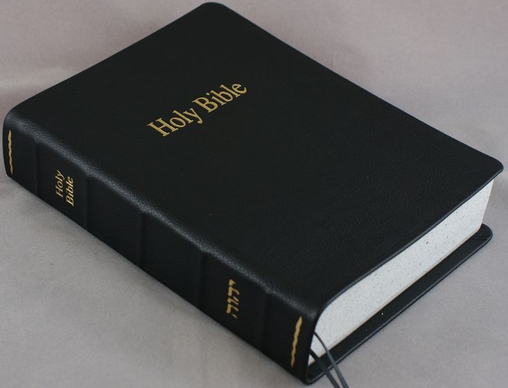 The Vine tweet media