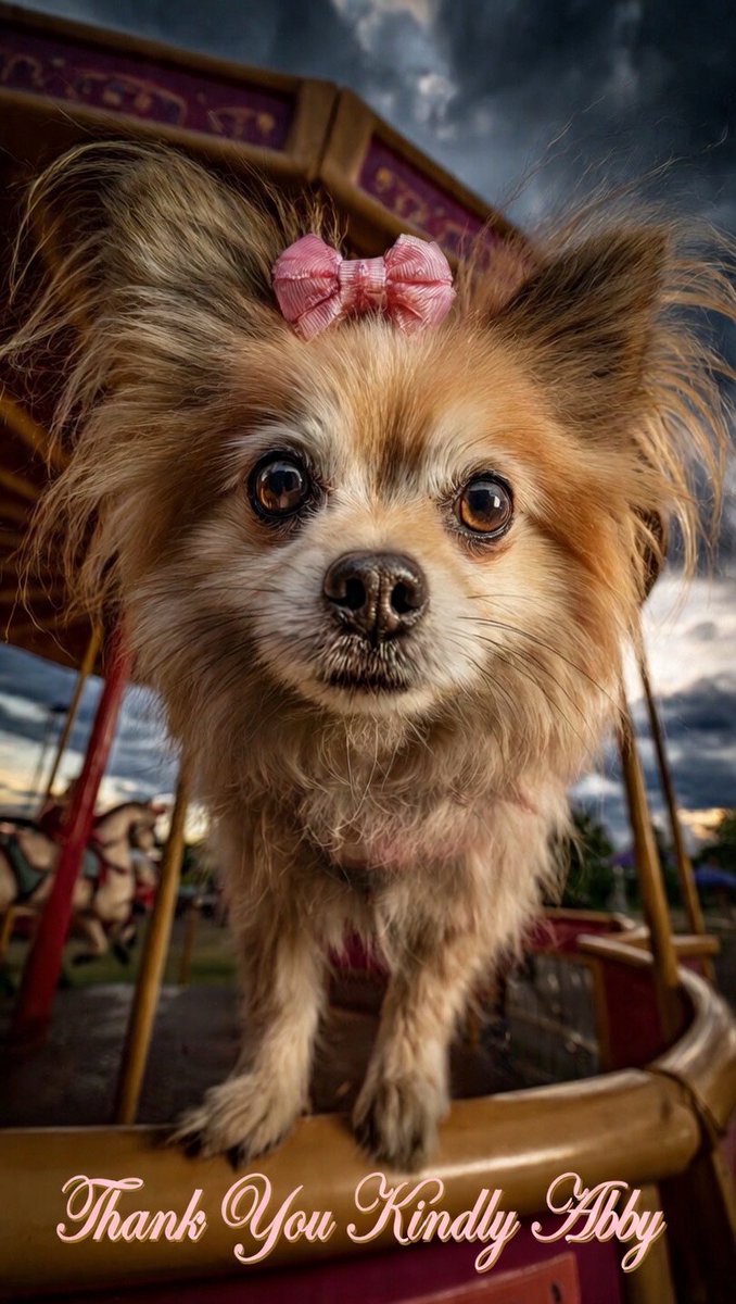 GrokPromptShare tweet media