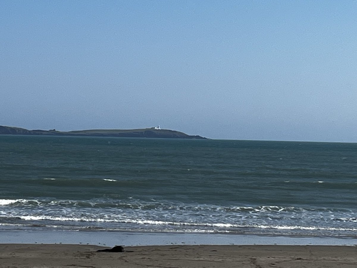 Graham Whelton tweet media