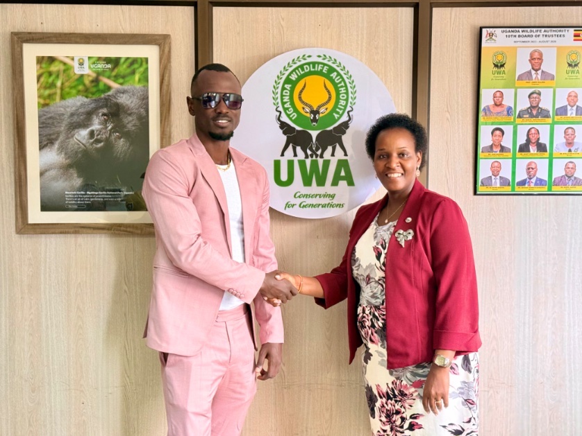 Apollo BW tweet media