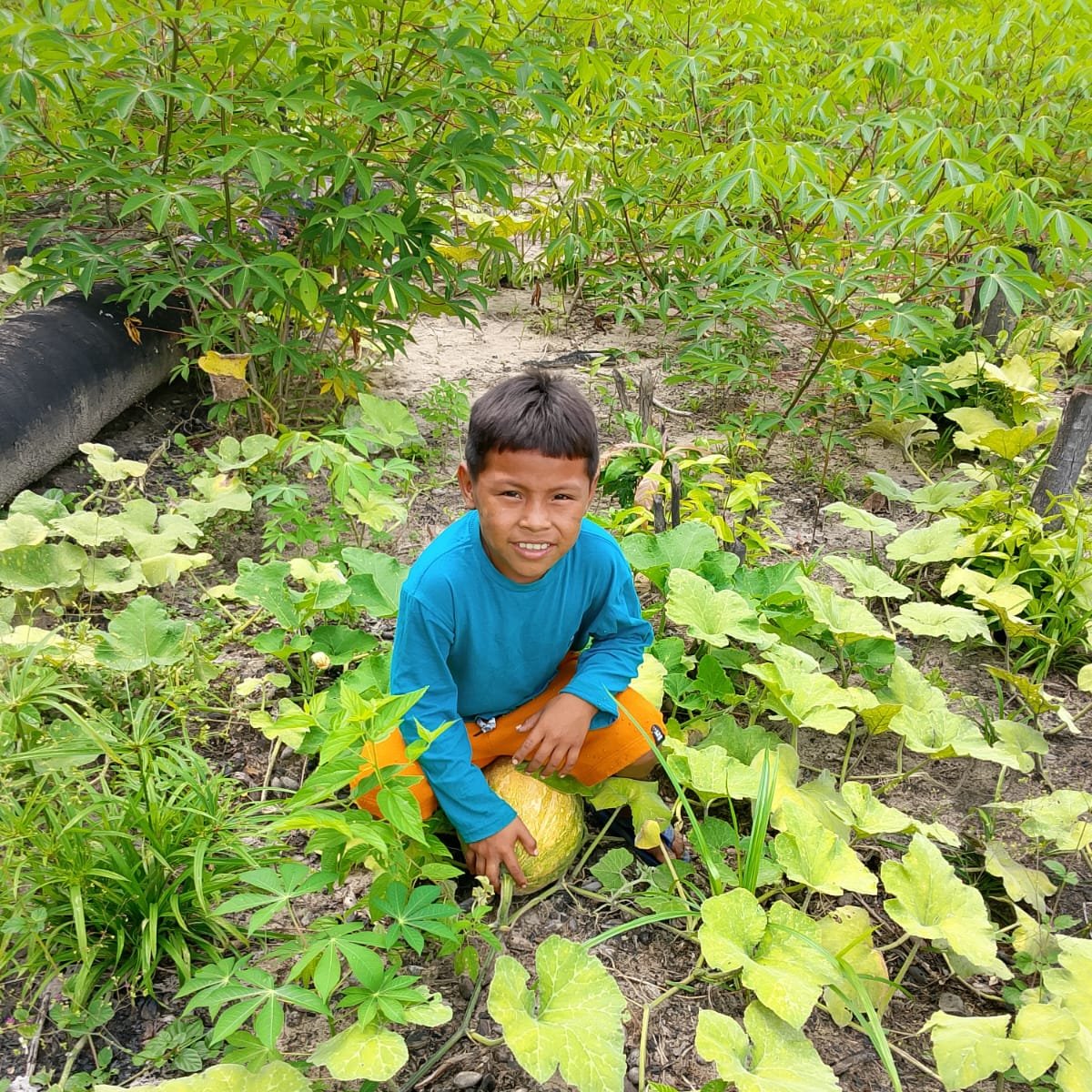FIDA (América Latina y el Caribe) tweet media