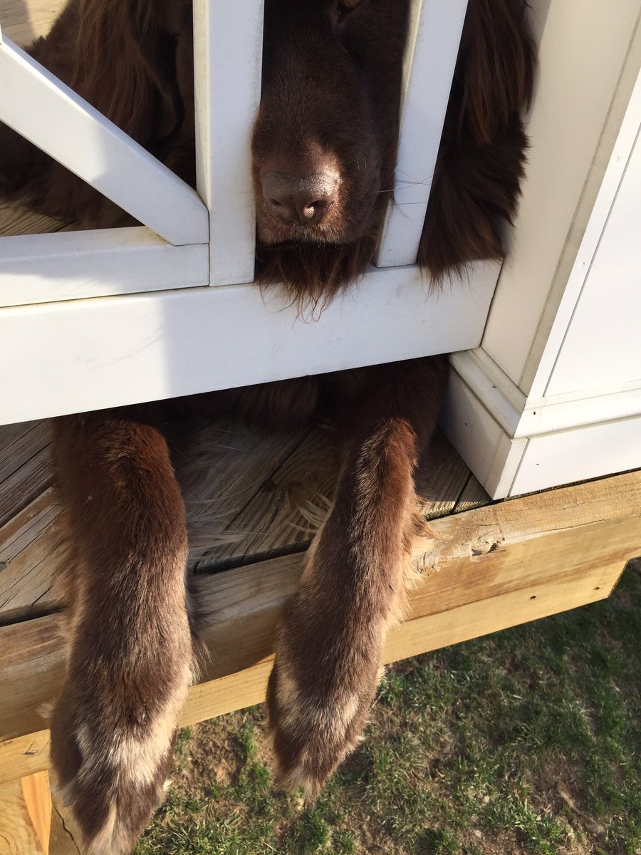 Zach Wignall tweet media