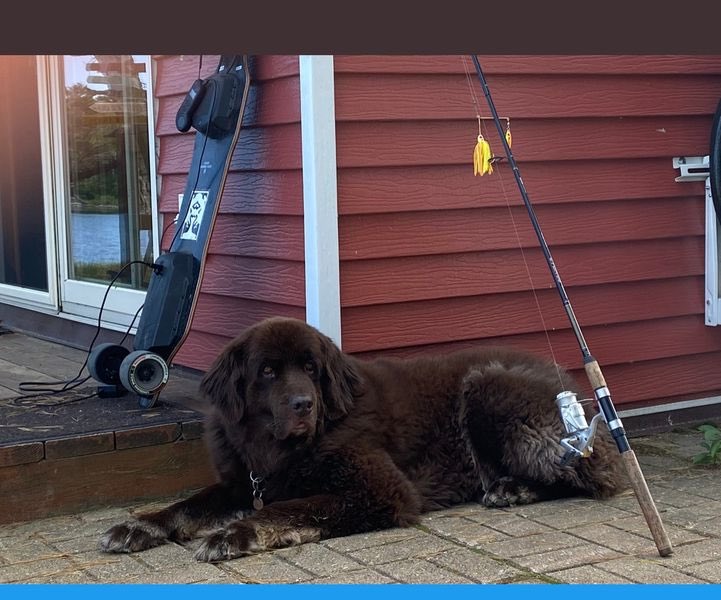 Zach Wignall tweet media