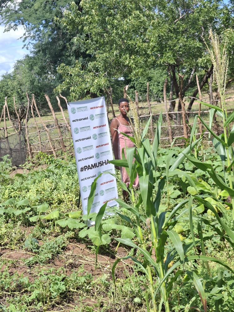 Fambidzanai Permaculture Centre ZWE tweet media