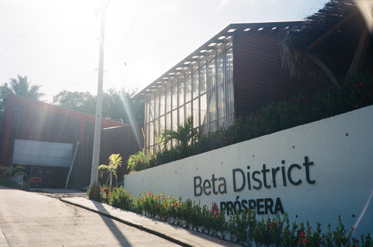 Infinita City tweet media