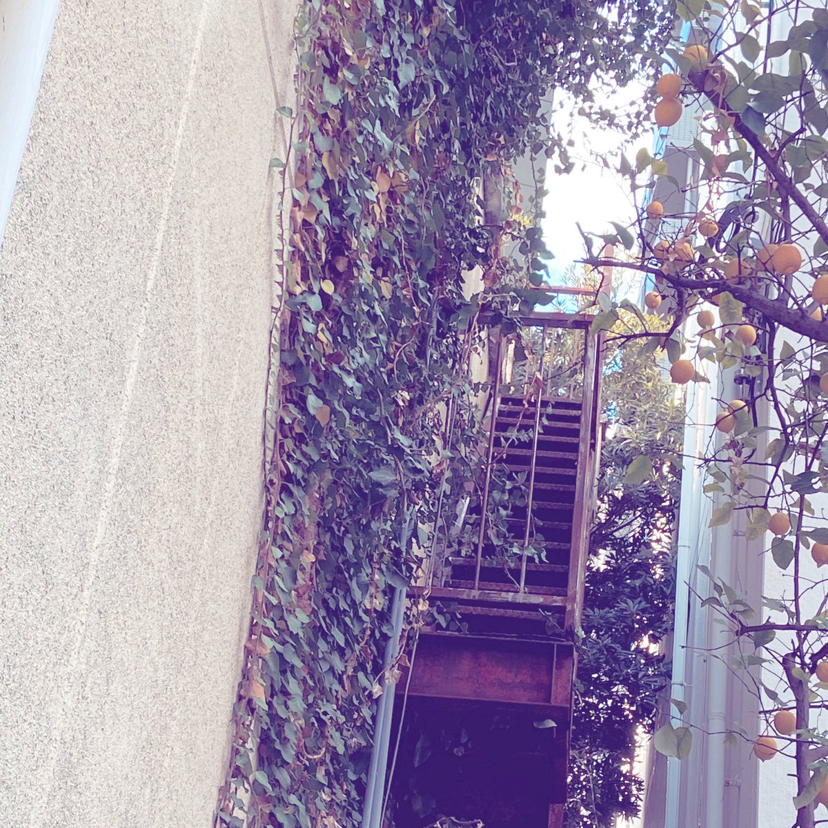 良い感じの非常階段？…よね？