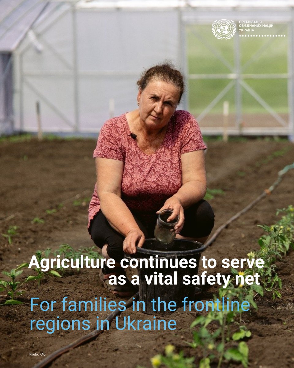 UN Ukraine tweet media