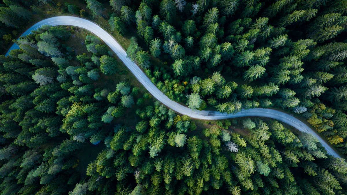 UNDP in Bosnia and Herzegovina tweet media