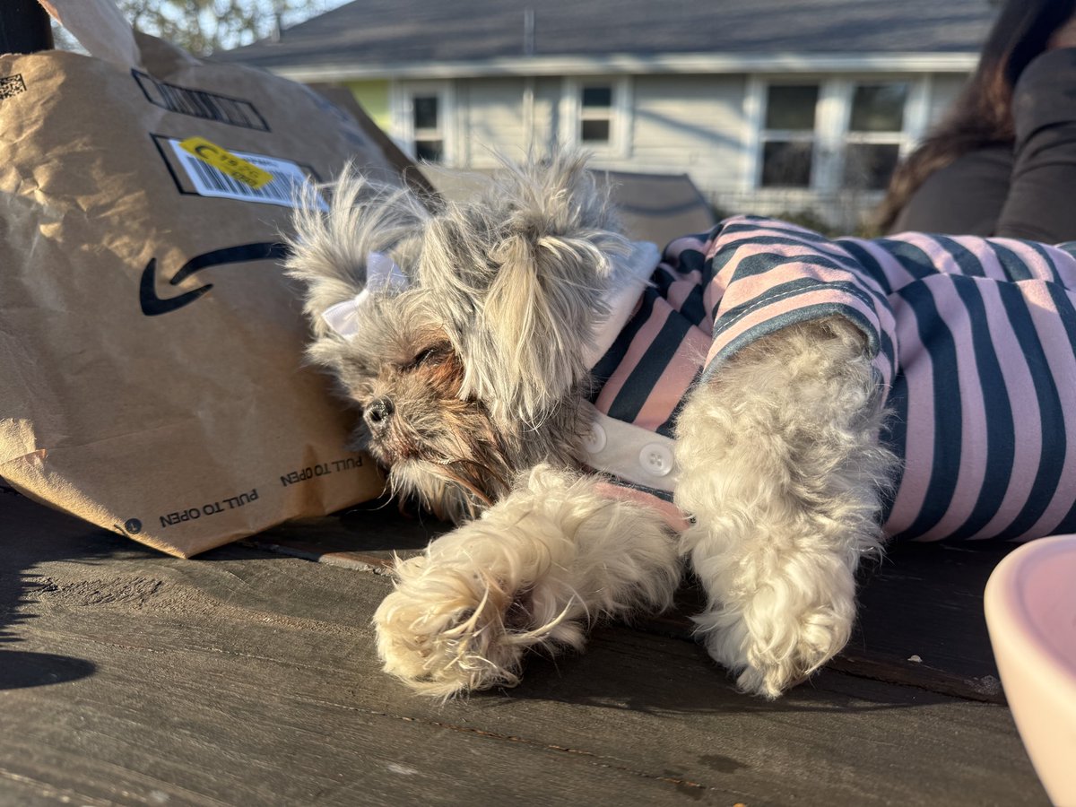 Blake Self tweet media